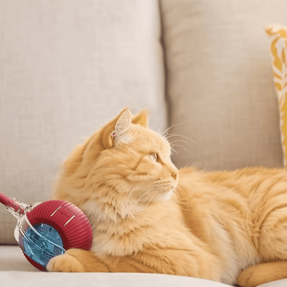 Pelota rodante inteligente para gatos