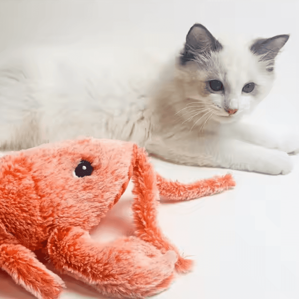 Wiggly Lobster Interactive Pet Toy