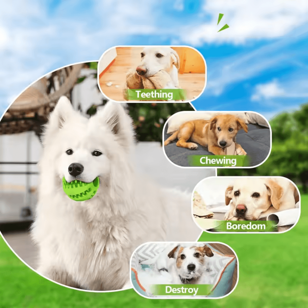 Kauball aus Gummi für Hunde