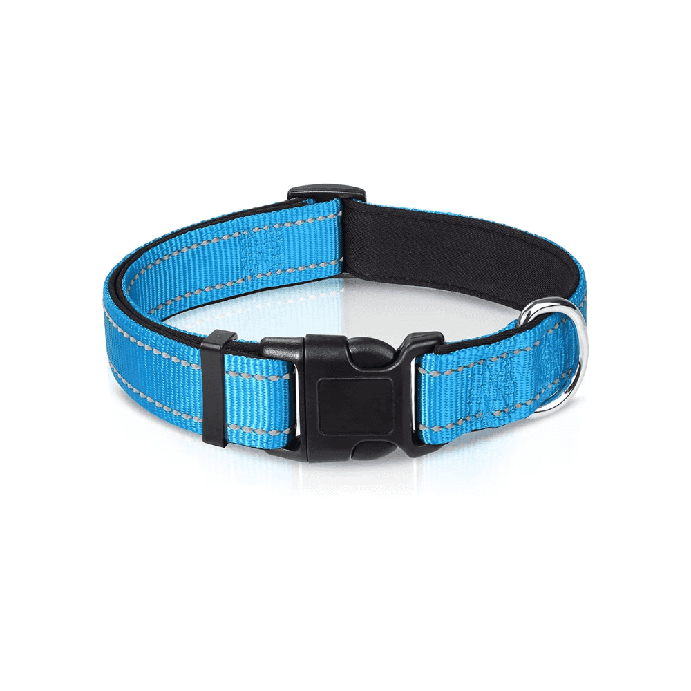 Reflektierendes gepolstertes Hundehalsband