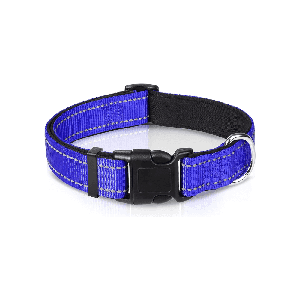 Reflektierendes gepolstertes Hundehalsband