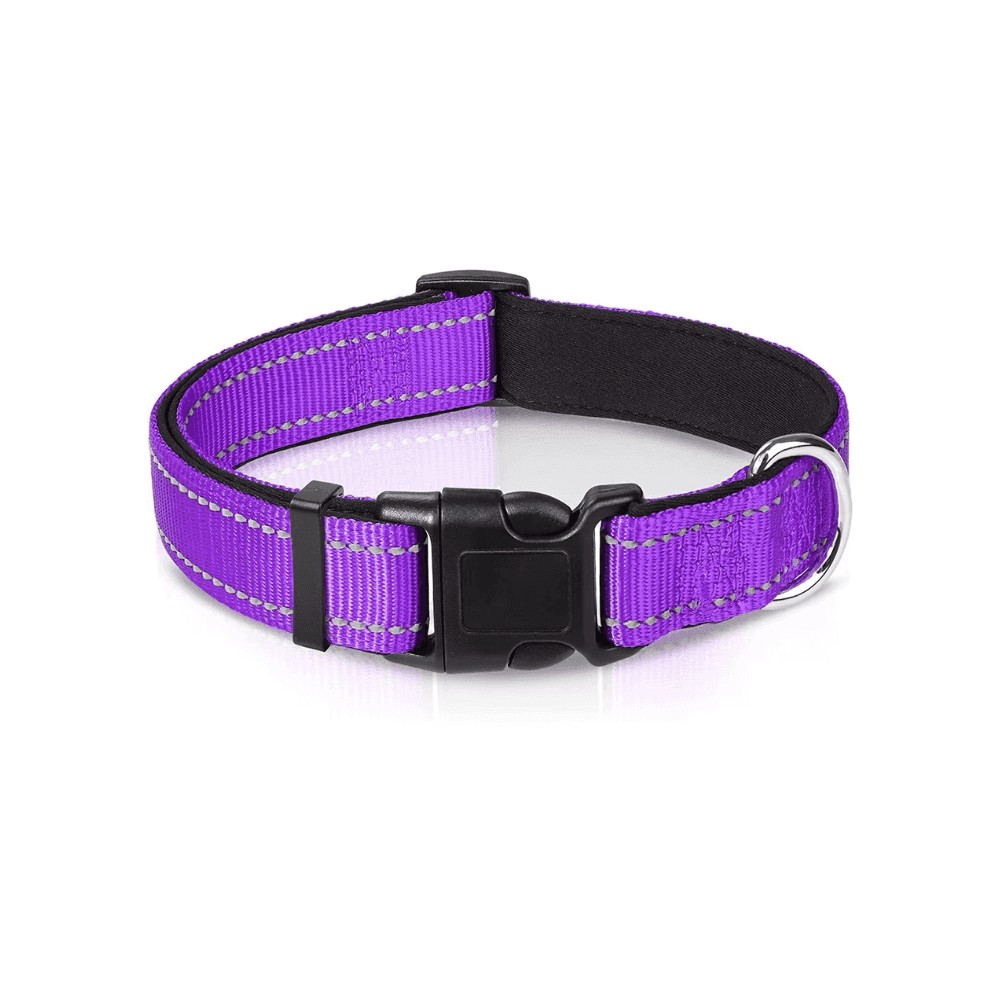 Reflektierendes gepolstertes Hundehalsband