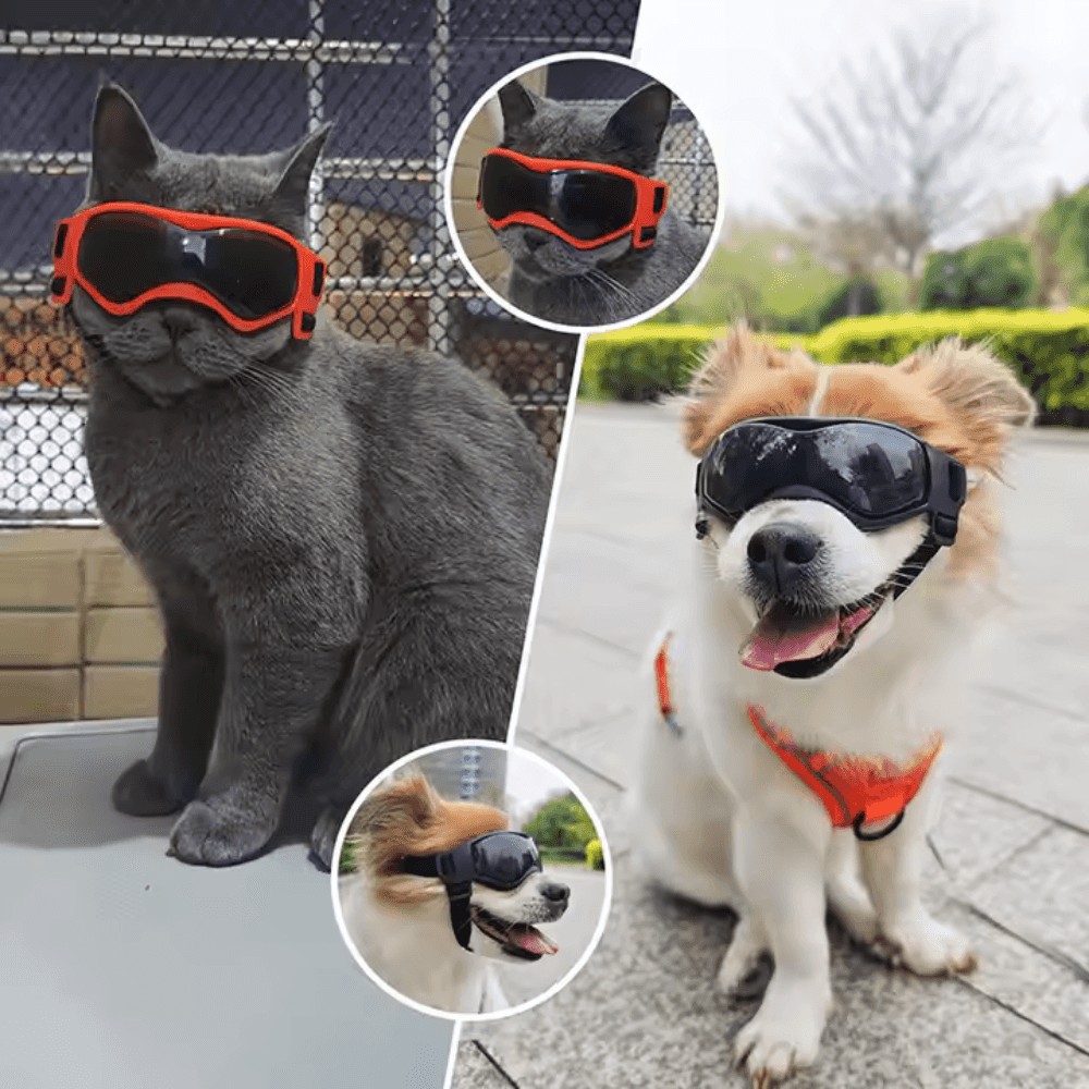 UV-Schutzbrille für Haustiere
