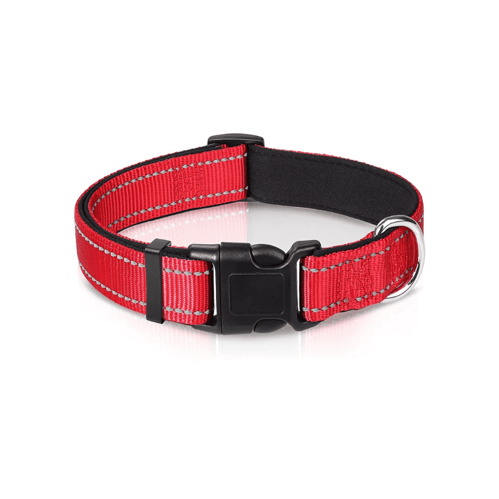 Reflektierendes gepolstertes Hundehalsband