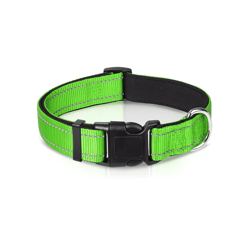 Reflektierendes gepolstertes Hundehalsband