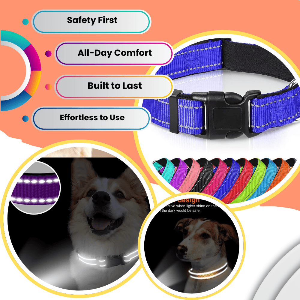 Reflektierendes gepolstertes Hundehalsband