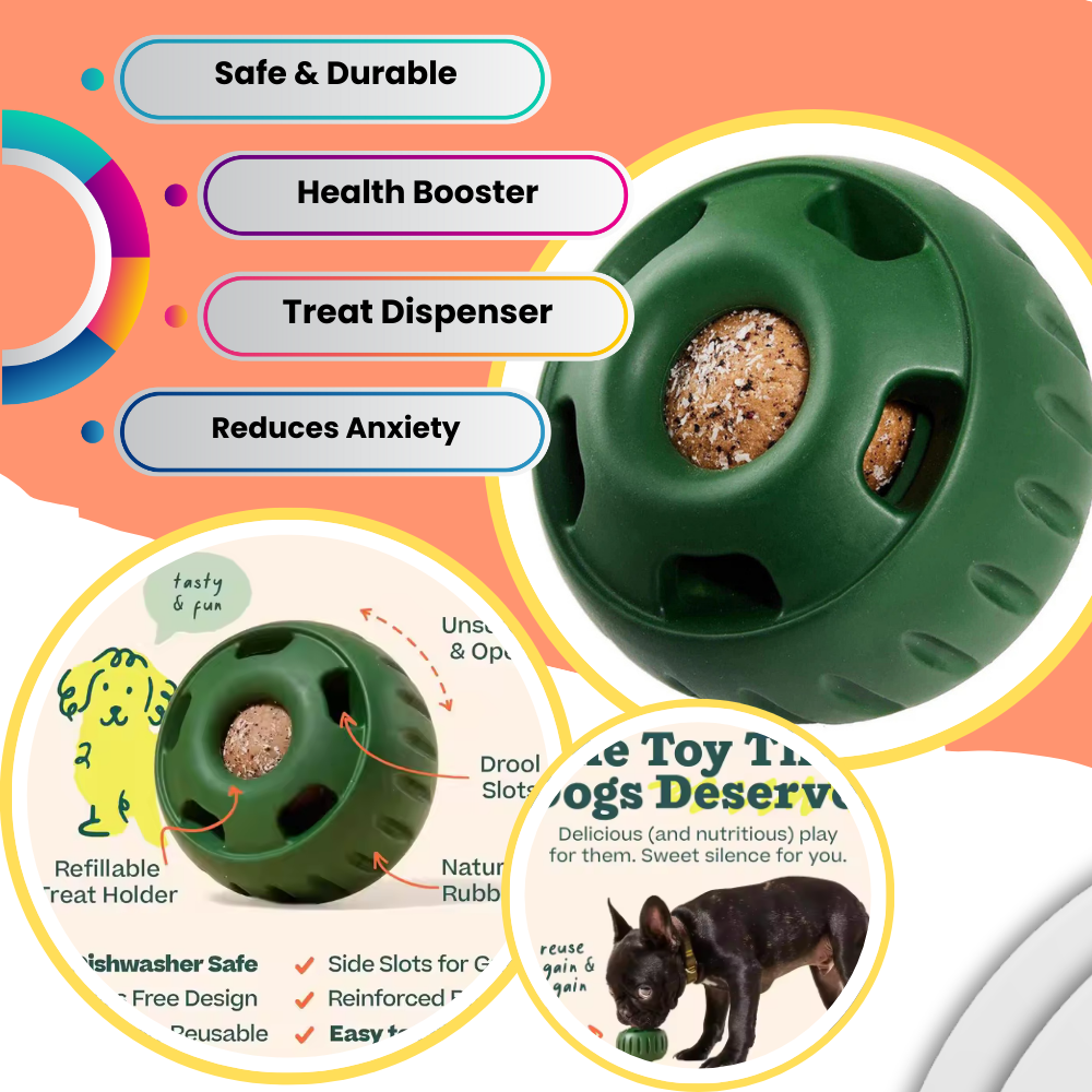 Tough Chew Treat Ball for Dogs