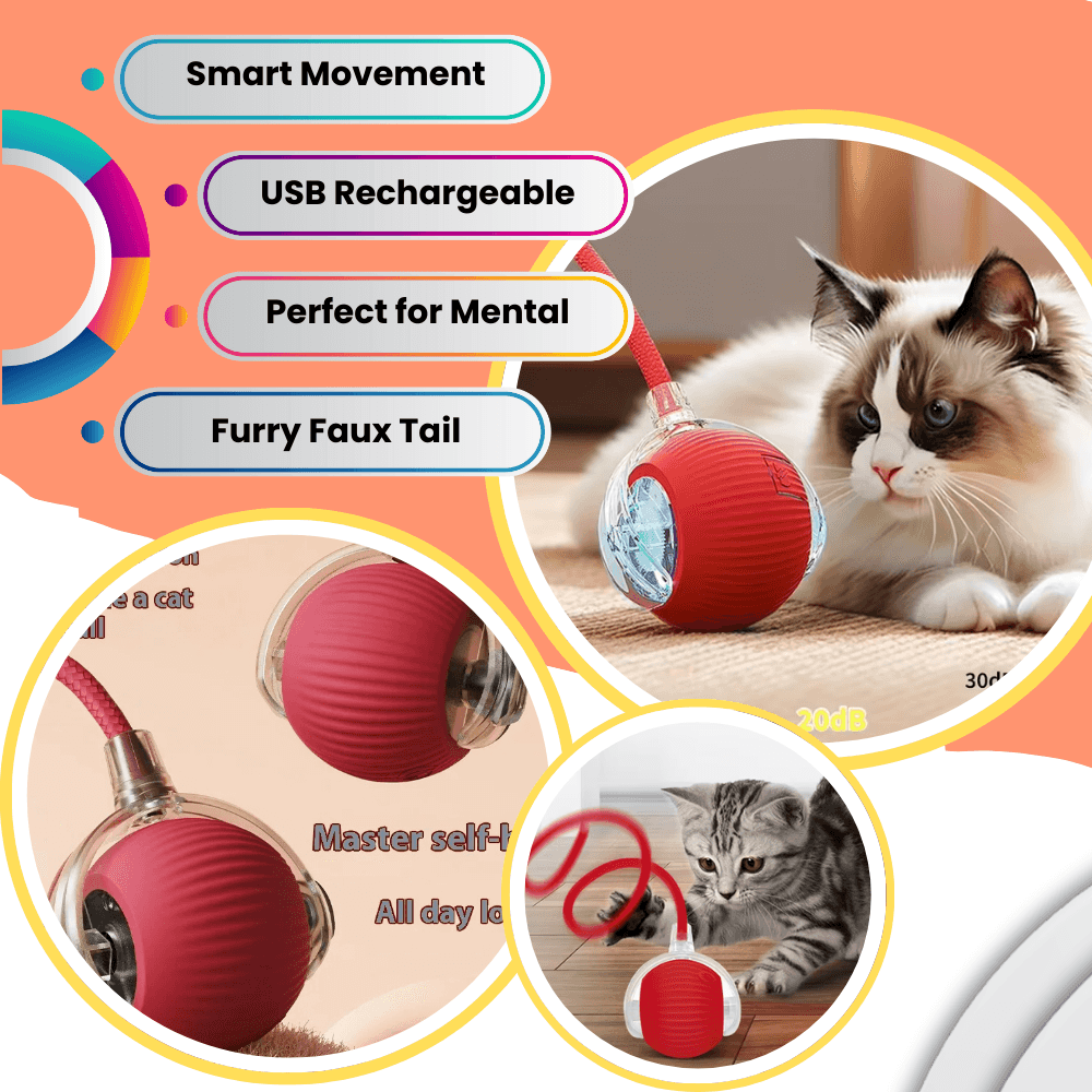 Pelota rodante inteligente para gatos