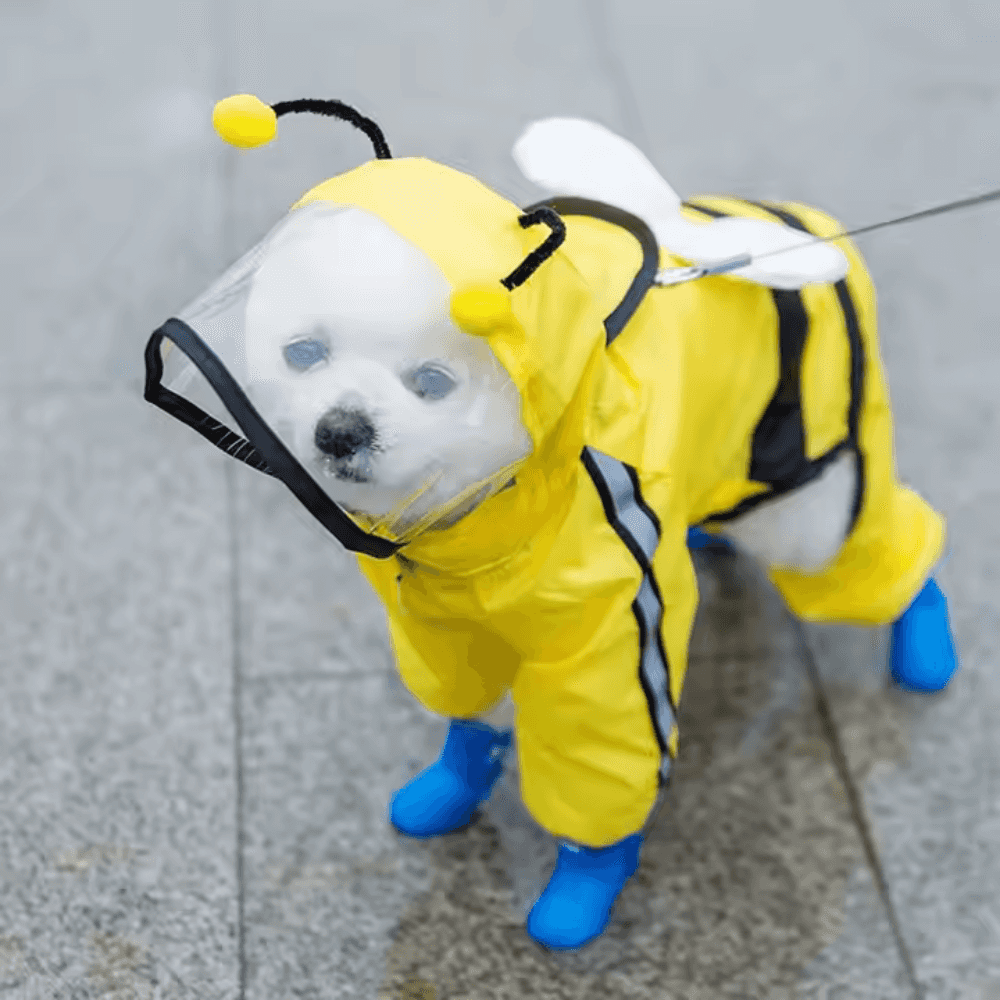 Dog Raincoat Waterproof Reflective suit in yellow bee design with hood and blue boots, ideal for small pets in rainy weather.