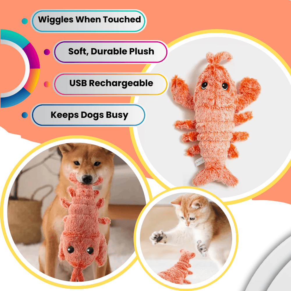 Wiggly Lobster Interactive Pet Toy