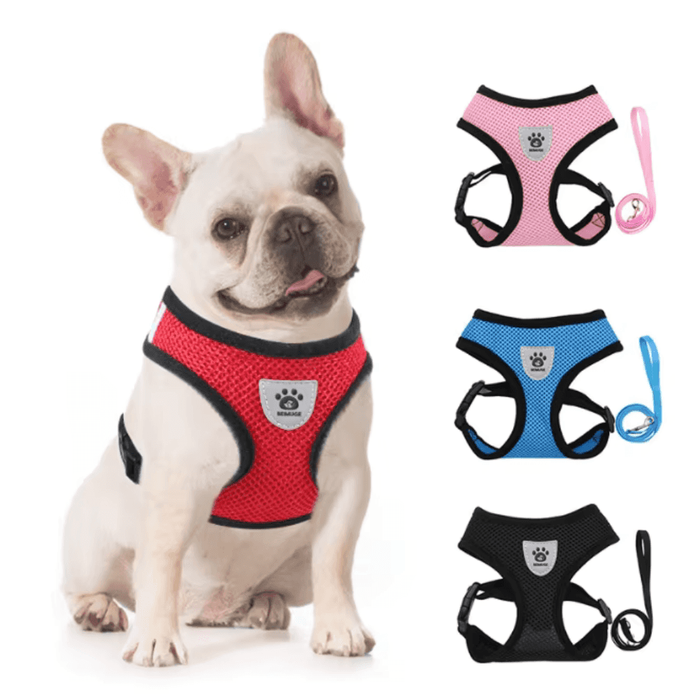 Arnés antiescape para pasear perros y gatos