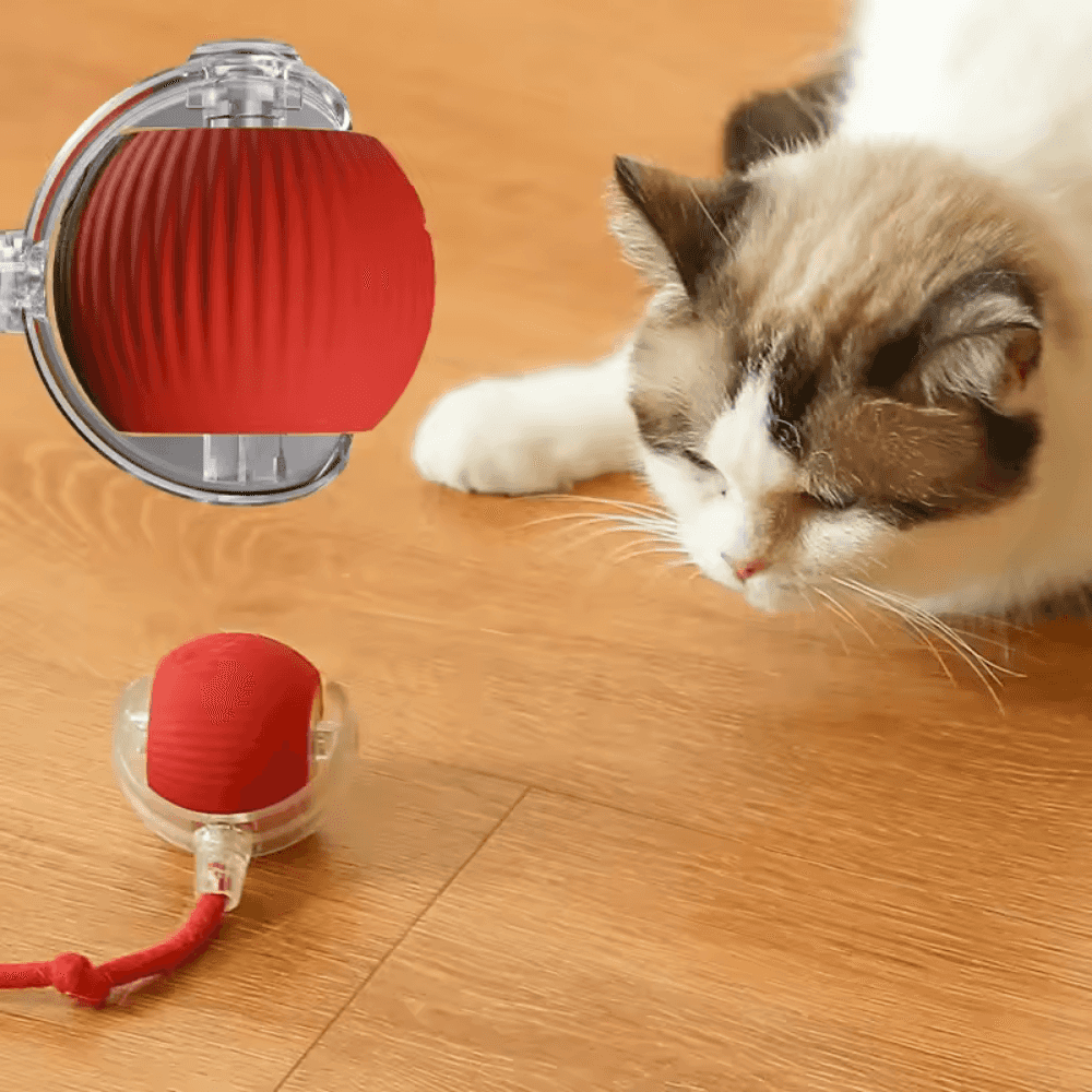 Pelota rodante inteligente para gatos