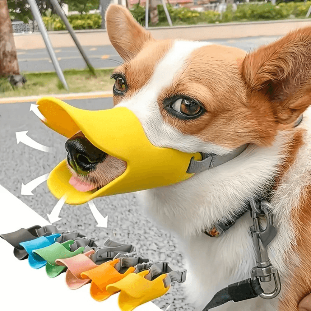 Dogs Anti Bite Stop yellow duck-shaped muzzle on a Corgi outdoors. Adjustable strap ensures secure fit for bite prevention and barking control.