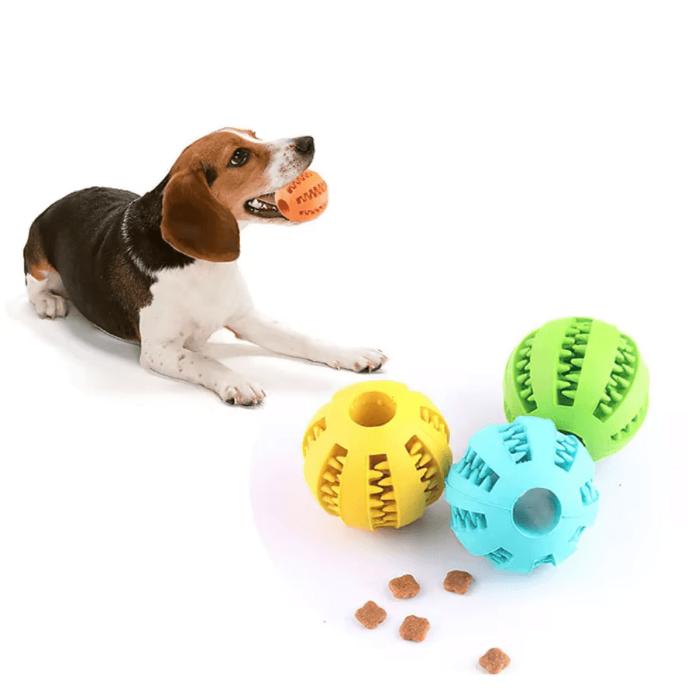 Kauball aus Gummi für Hunde