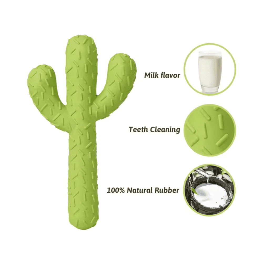 Cactus Dog Chew Toy with milk flavor, teeth cleaning texture, and 100% natural rubber. Promotes safe chewing and dental hygiene.