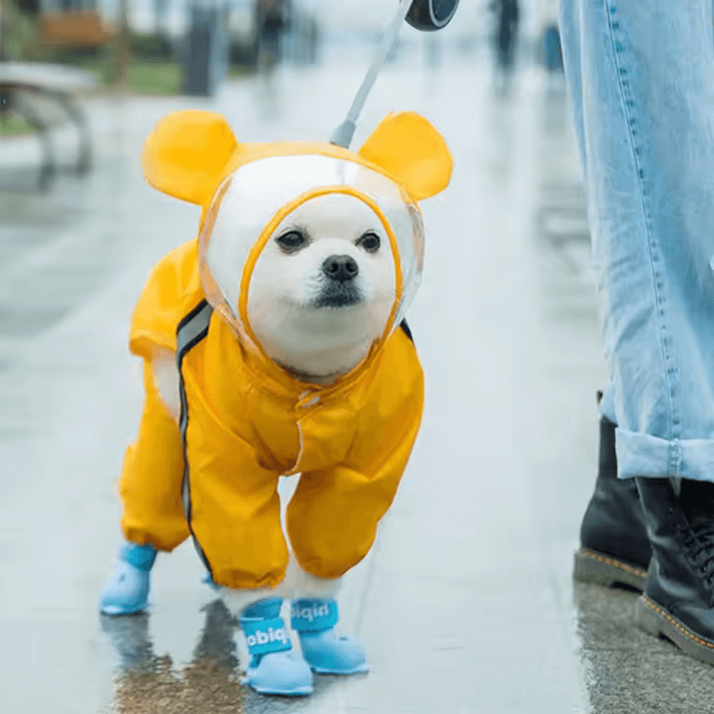Dog Raincoat Waterproof Reflective in orange bear design with transparent hood and blue boots, perfect for wet outdoor walks.