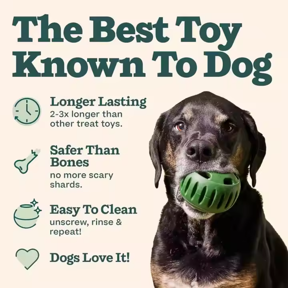 Tough Chew Treat Ball for Dogs