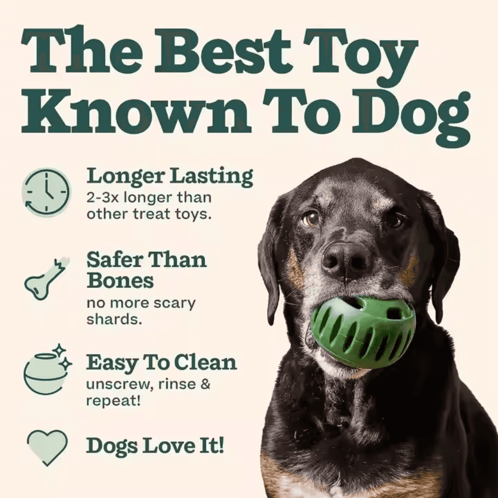 Robuster Kau-Leckerli-Ball für Hunde