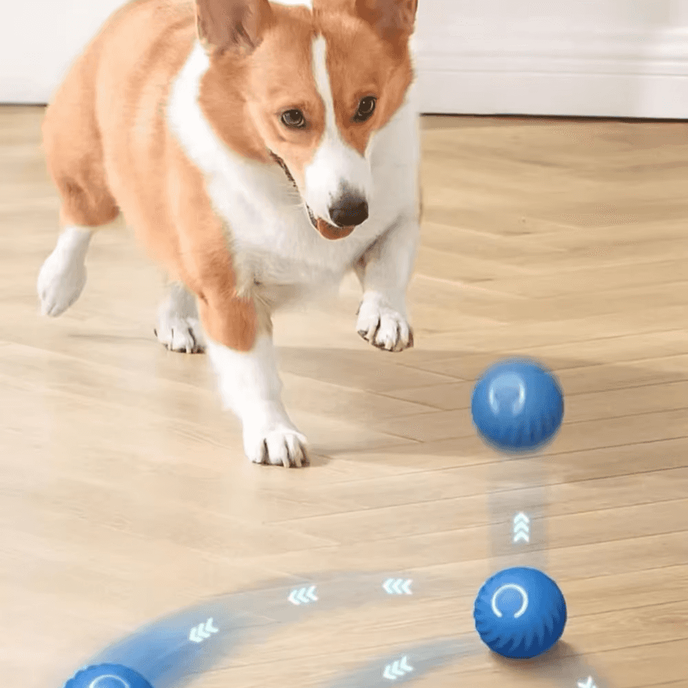 Pelota inteligente que rebota para mascotas
