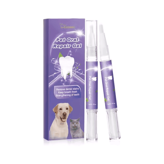 Dog Teeth Whitening Gel with box and applicator pens for tartar removal and plaque control in pet oral care.