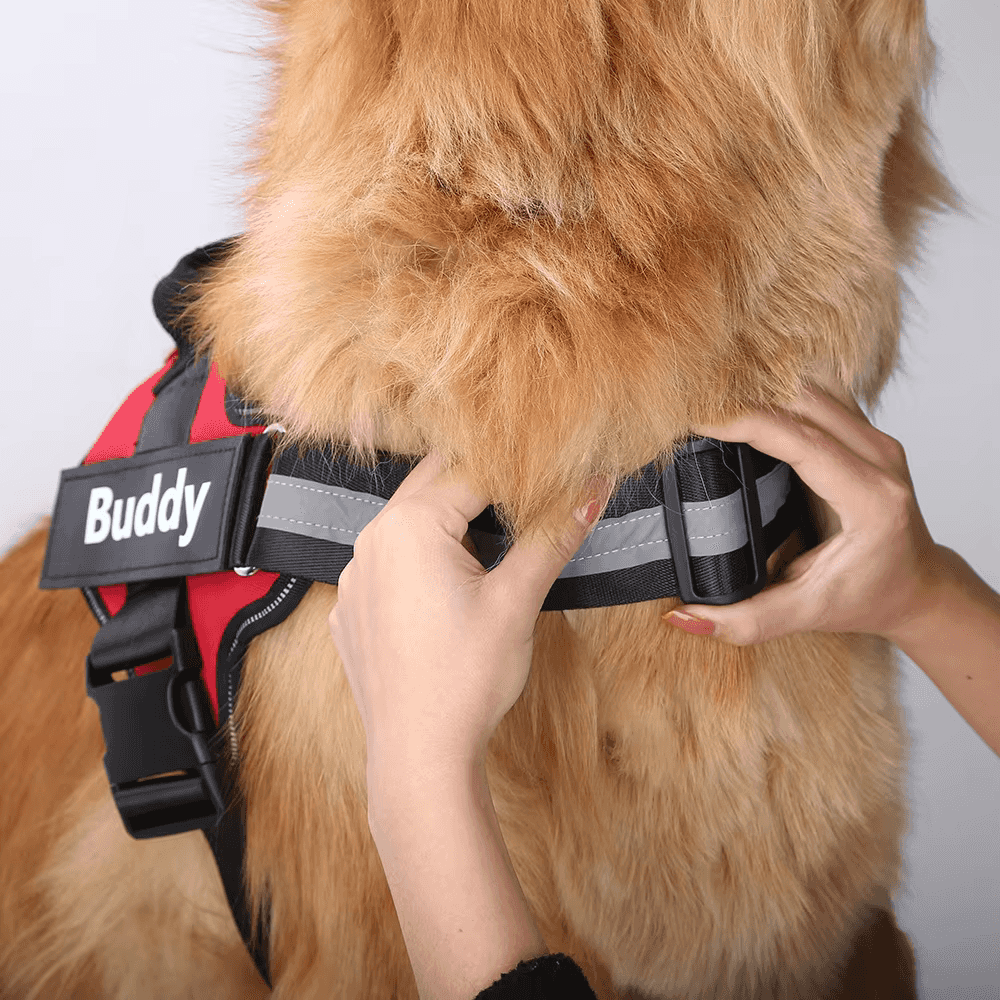 Reflektierendes Anti-Zug-Hundegeschirr mit individuellem ID-Patch