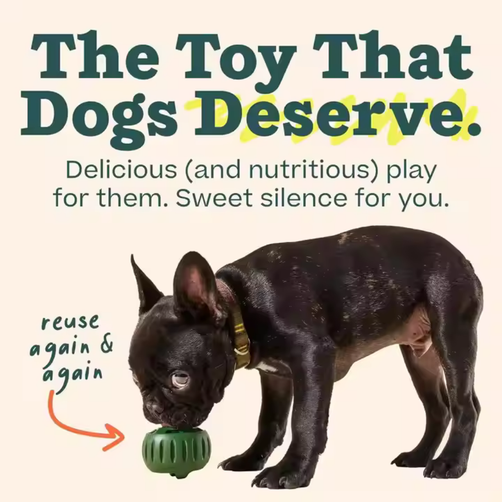 Tough Chew Treat Ball for Dogs