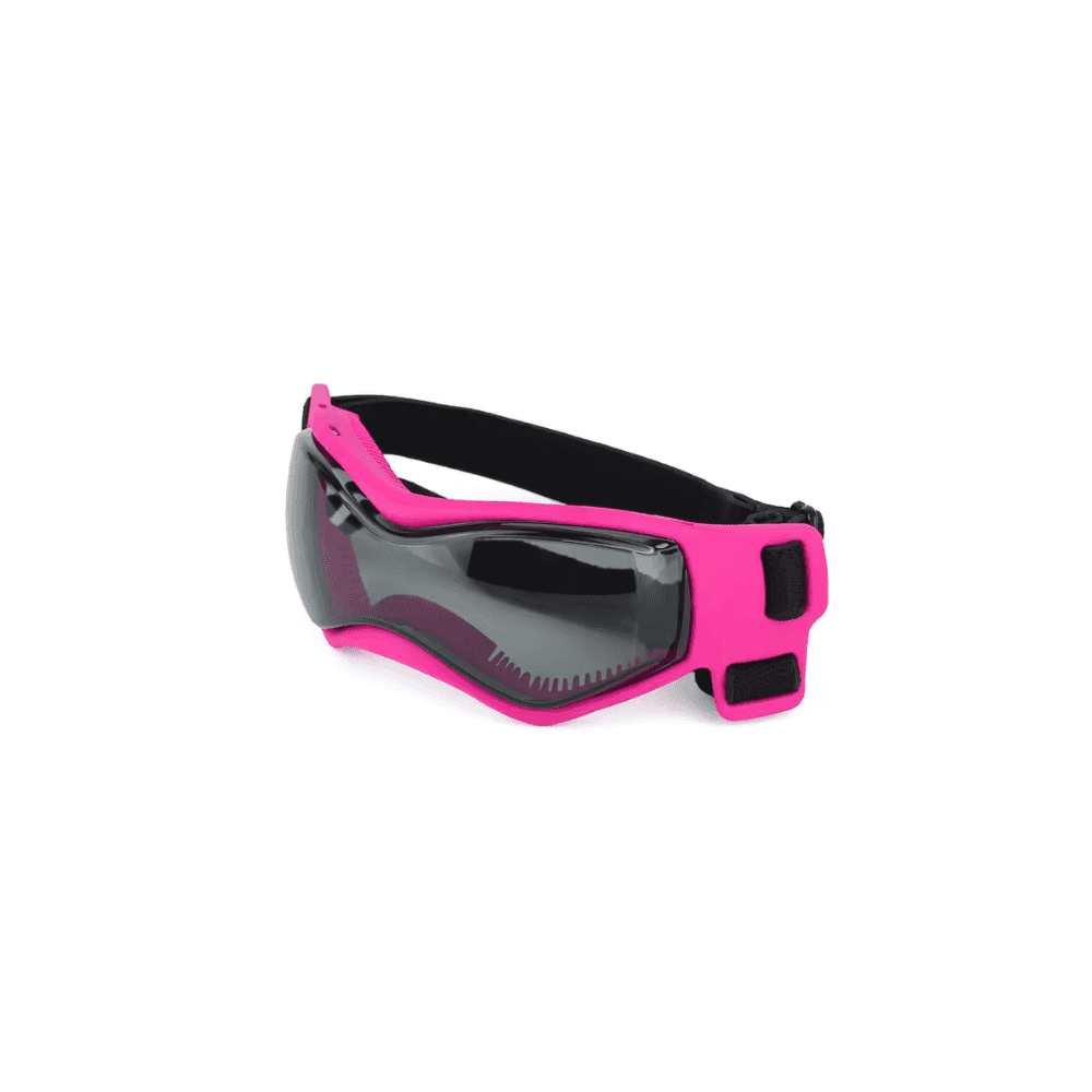 UV-Schutzbrille für Haustiere