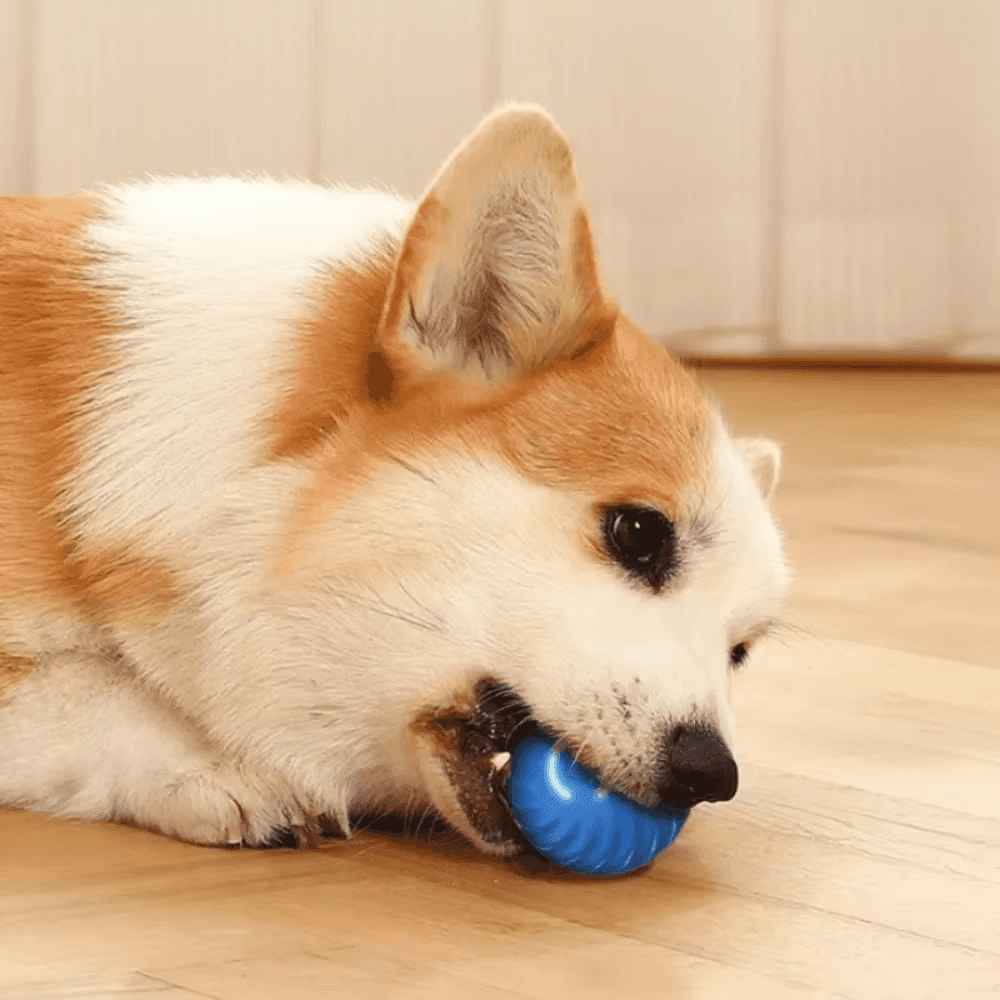 Pelota inteligente que rebota para mascotas