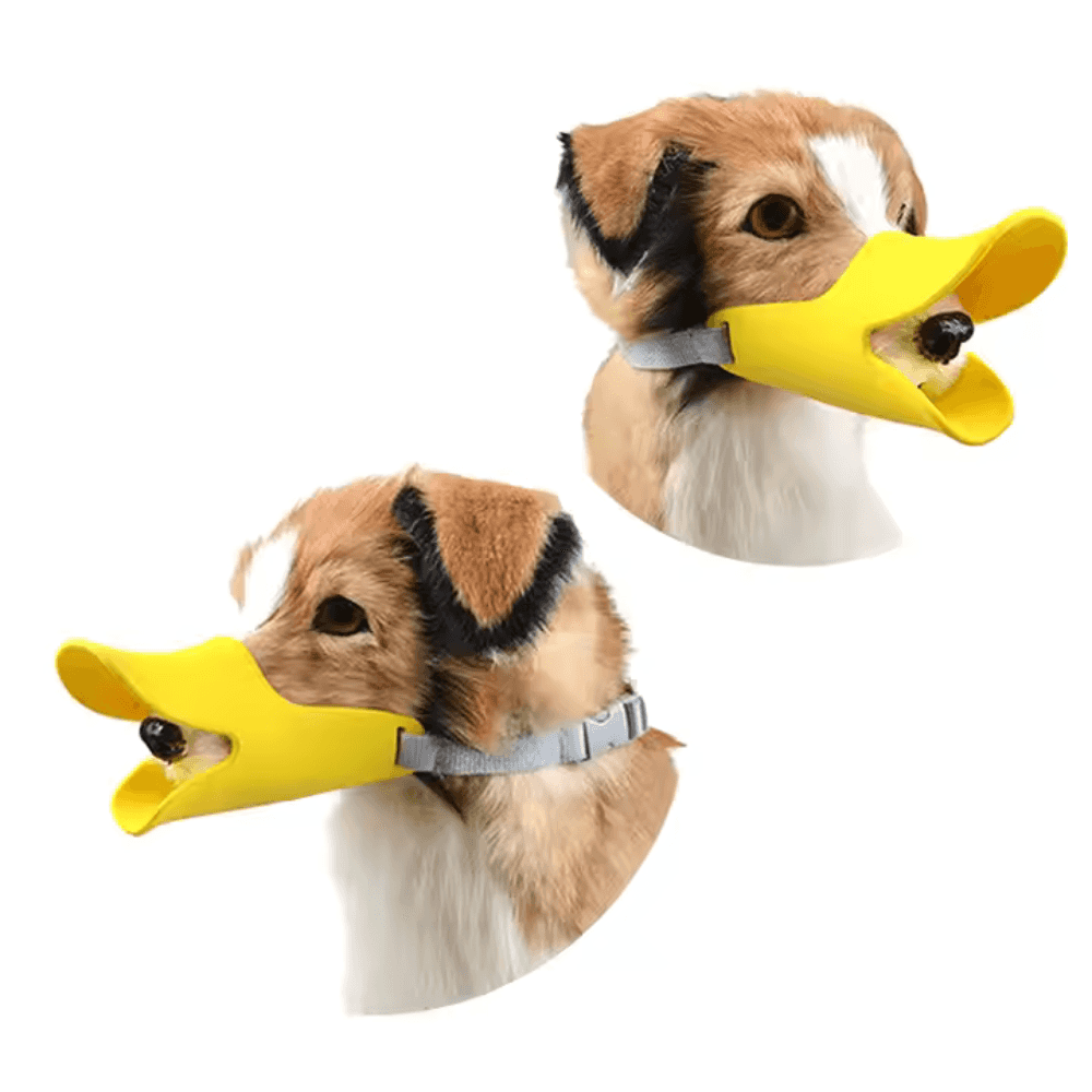 Dogs Anti Bite Stop yellow duck-bill muzzles on two dogs, showcasing fit and design. Ideal for preventing biting and chewing behavior.