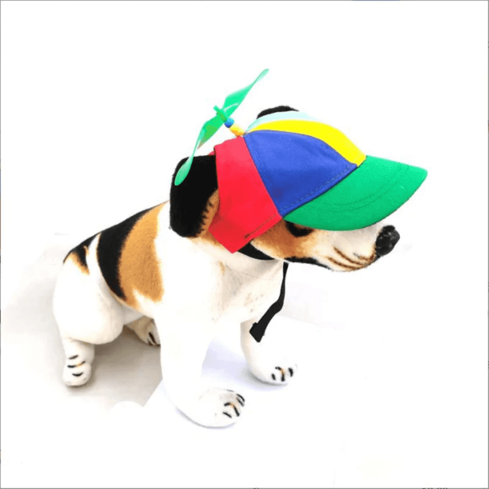 Dog wearing a multicolor Dog Hat Propeller with green brim and spinning top, combining sun protection and whimsical pet fashion.