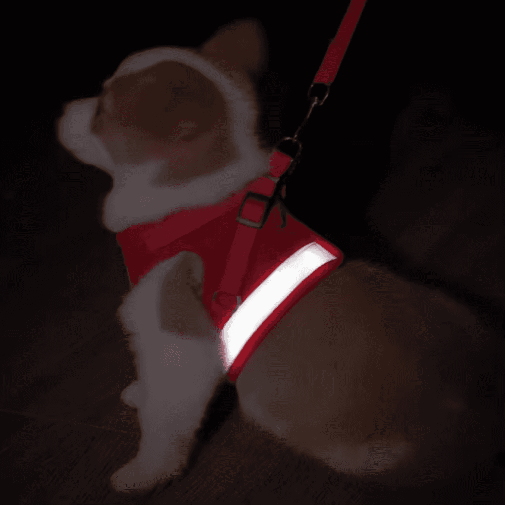Arnés antiescape para pasear perros y gatos