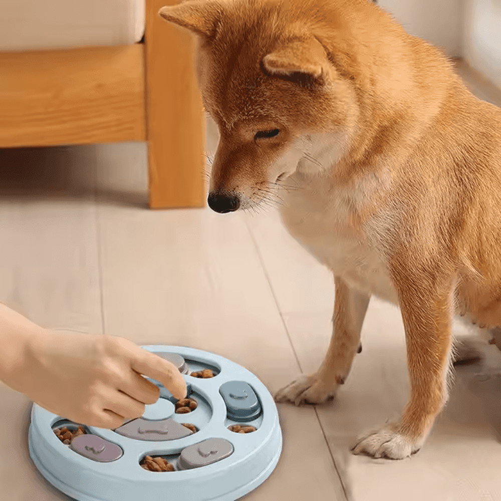 Comedero interactivo de alimentación lenta con forma de rompecabezas para mascotas