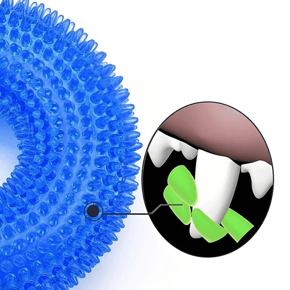 Close-up of blue dog chew toy with dental cleaning feature, showing how textured TPR surface helps remove plaque during play.