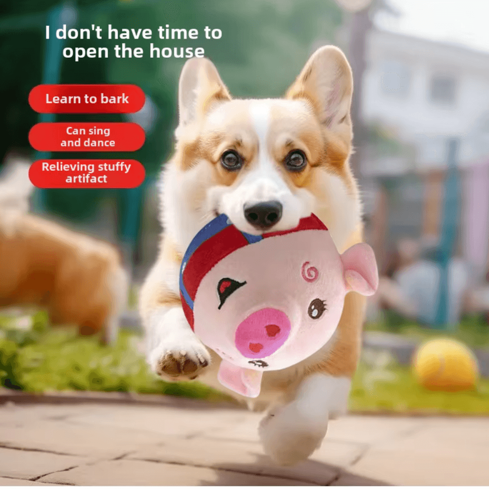 Interaktives elektrisches Plüsch-Springspielzeug für Hunde