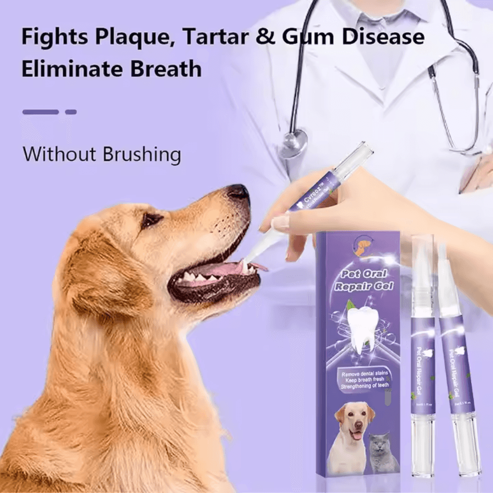 Dog Teeth Whitening Gel applied to a golden retriever without brushing, targeting plaque, tartar, and gum disease.