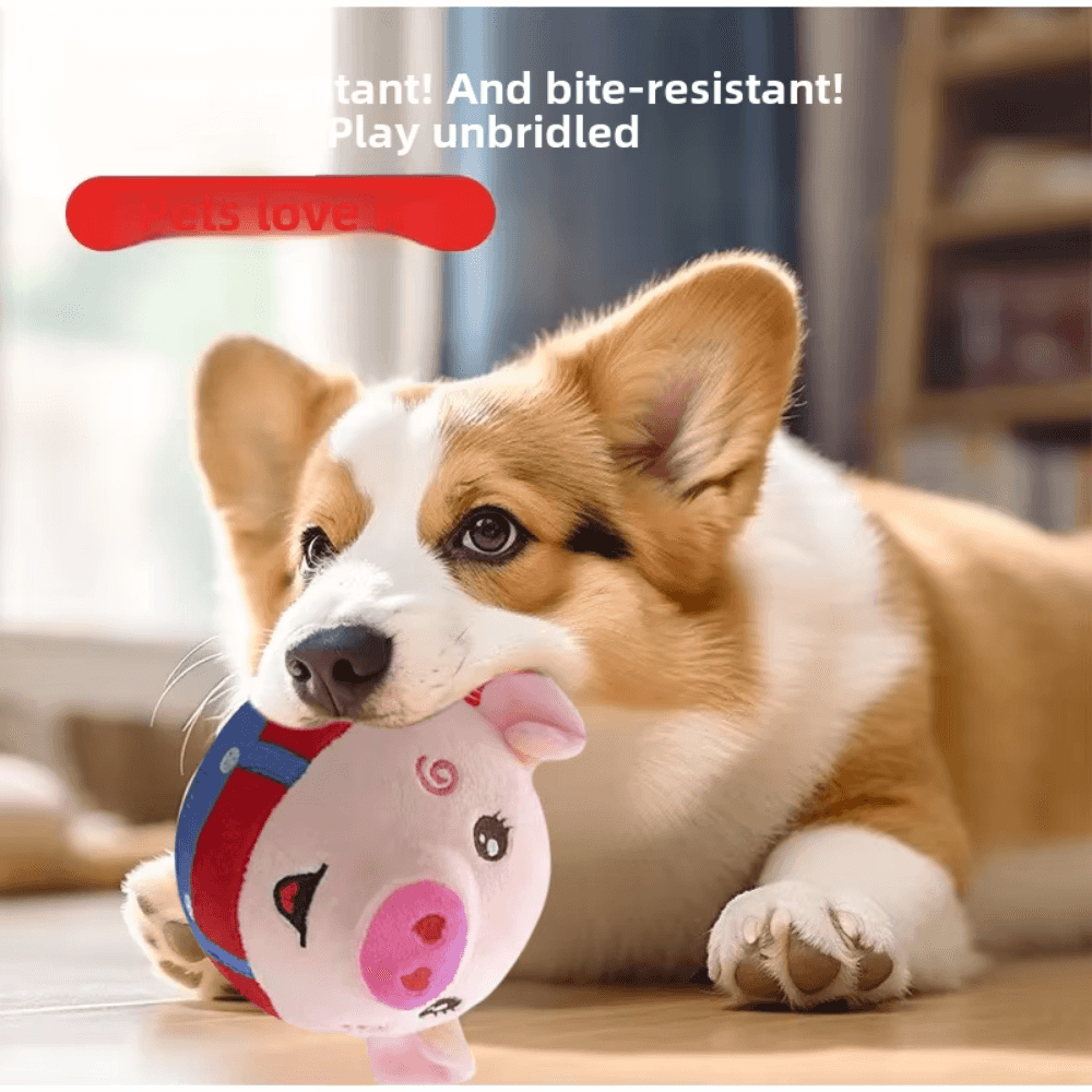 Interaktives elektrisches Plüsch-Springspielzeug für Hunde