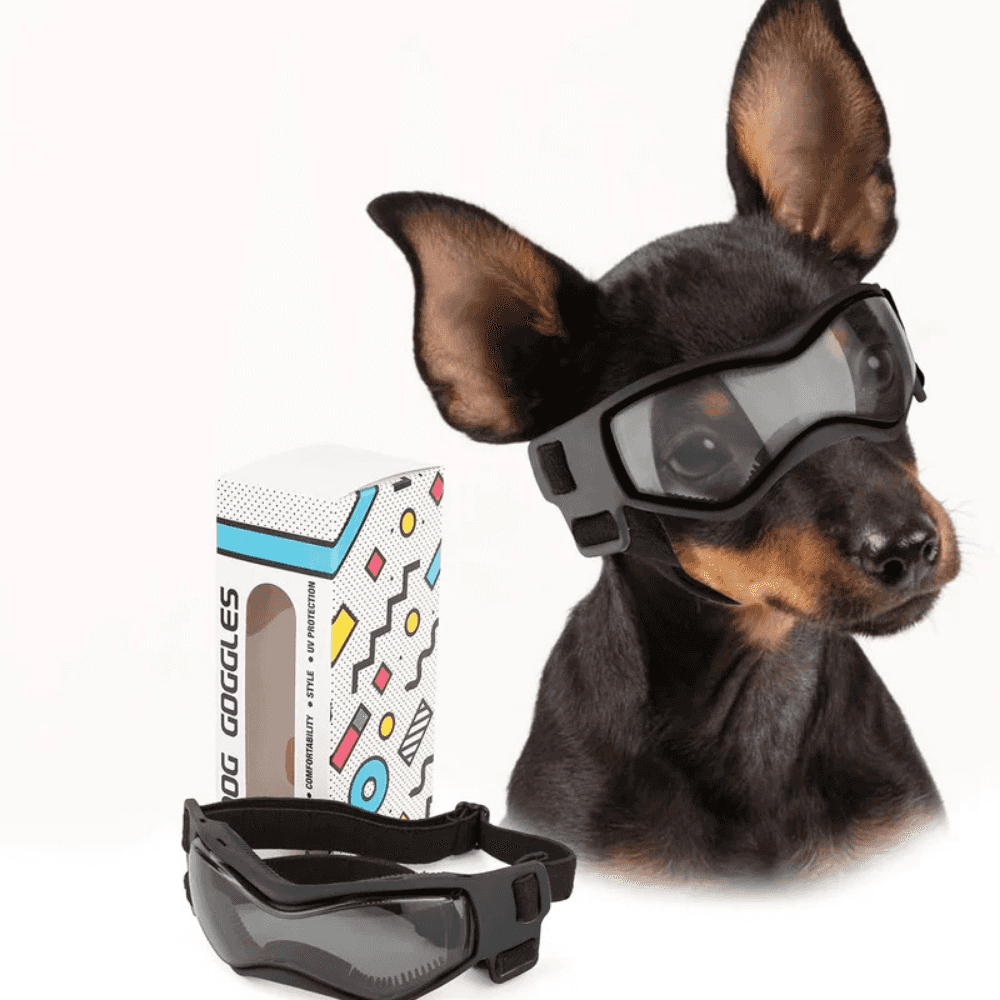 UV-Schutzbrille für Haustiere