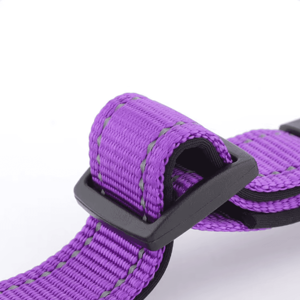 Reflektierendes gepolstertes Hundehalsband