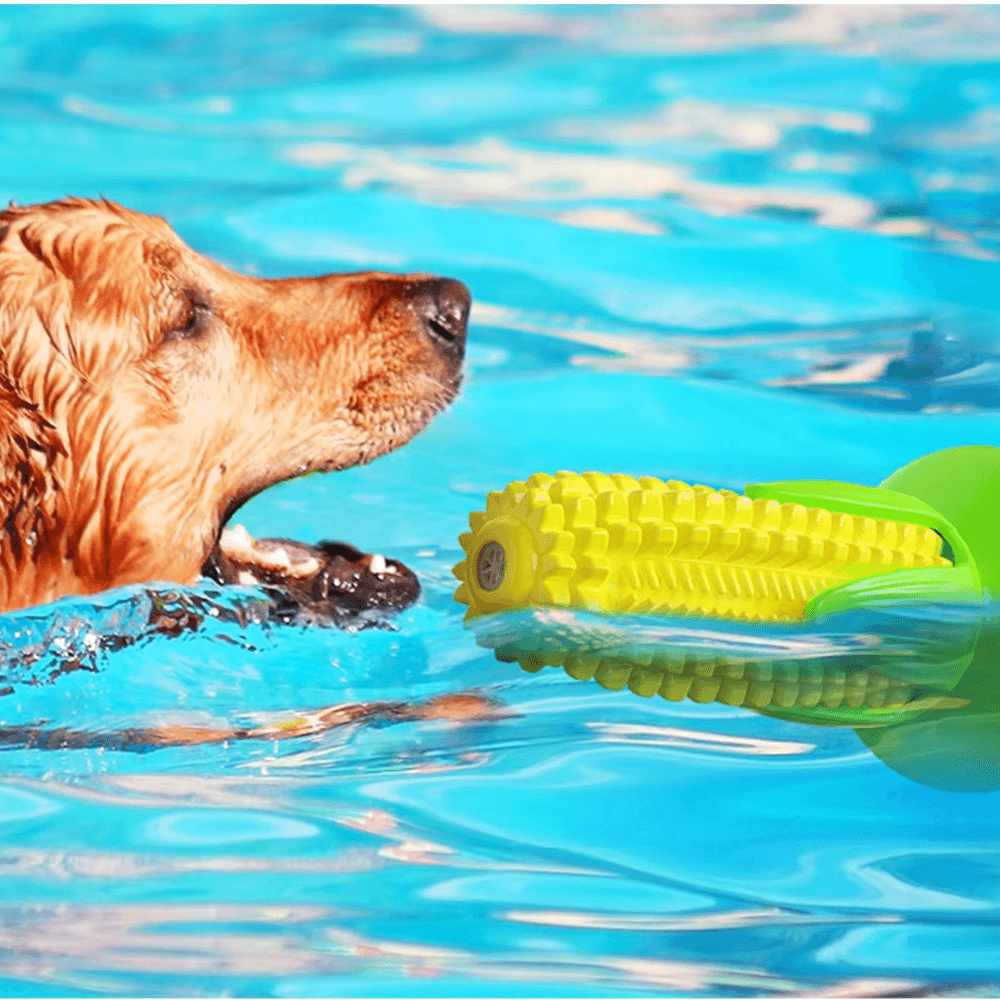 Corn Chew Toy for Medium & Large Dogs
