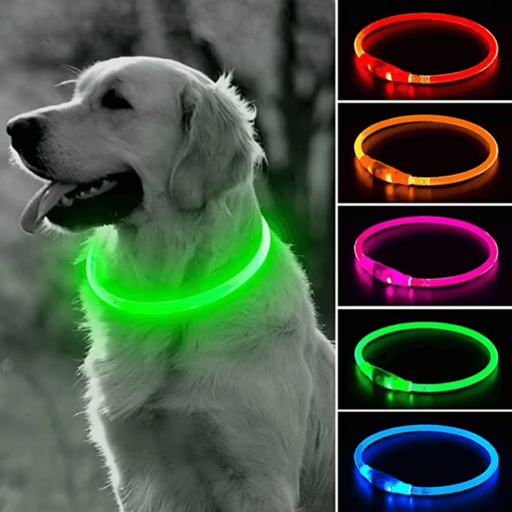 LED Light-Up Dog Collar