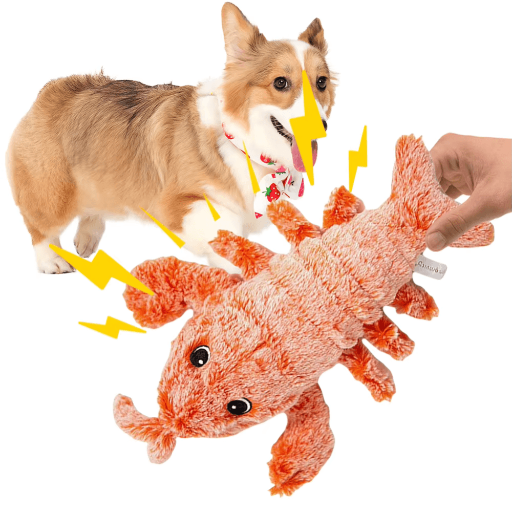 Wiggly Lobster Interactive Pet Toy