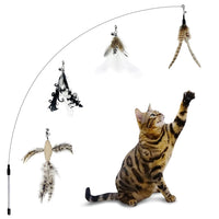 Classic Cat Wand (4 Refillls)