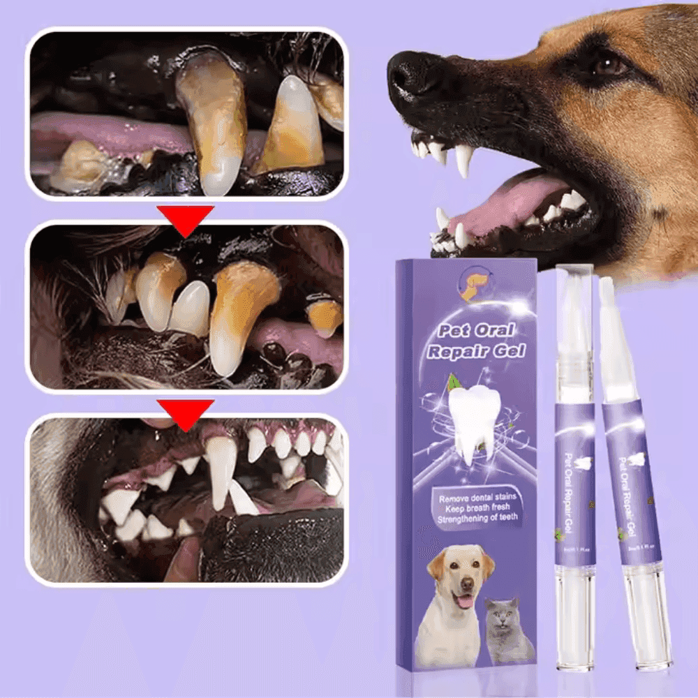 Dog Teeth Whitening Gel before and after images showing tartar removal and whiter teeth in dogs for improved oral hygiene.