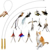 Wooden Handle Cat Wand (10 Refillls)