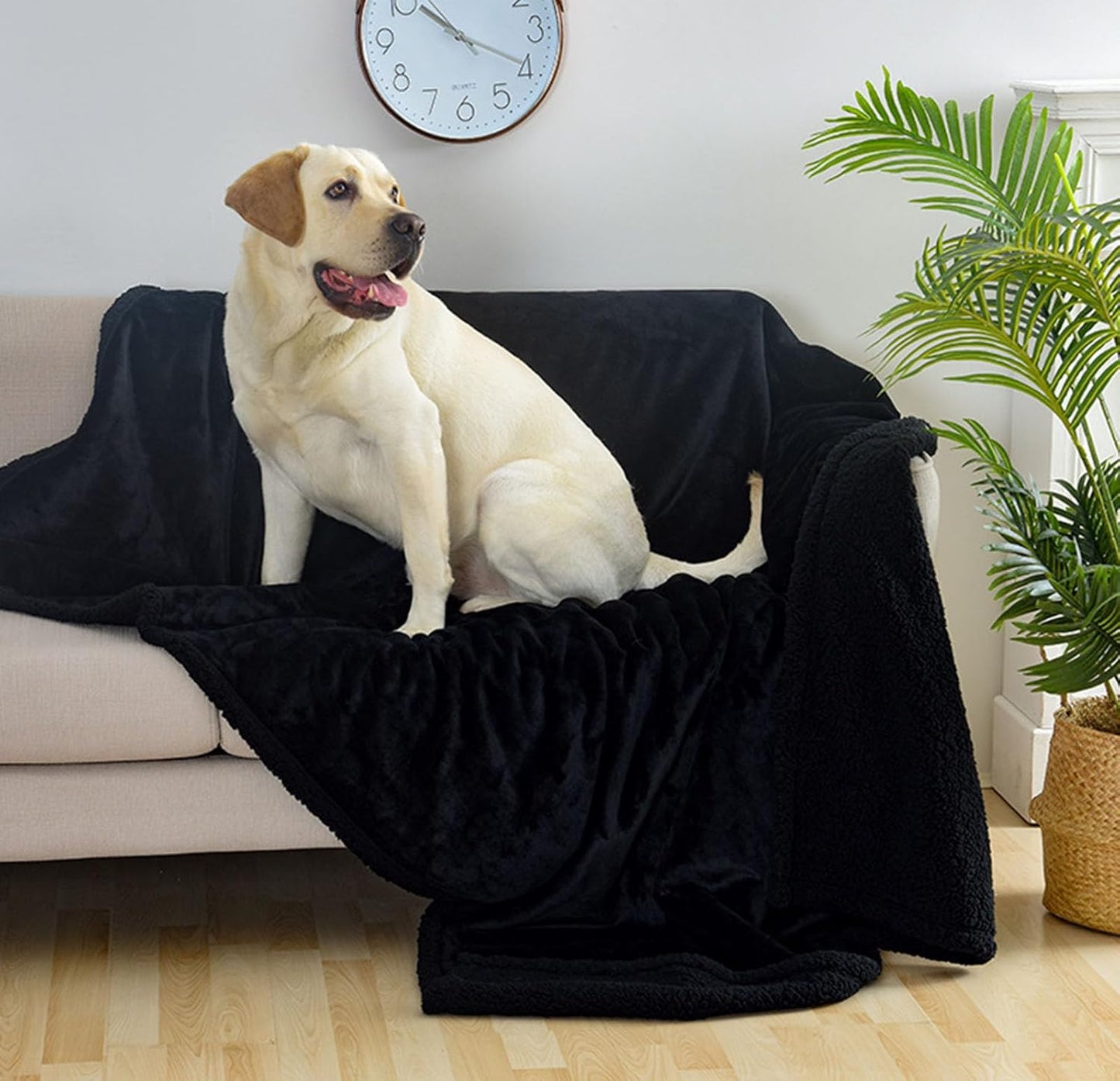 Loveblanket - Waterproof Blanket for Couples & Pets, Fleece Bed Protector (Grey, 28x40 in)