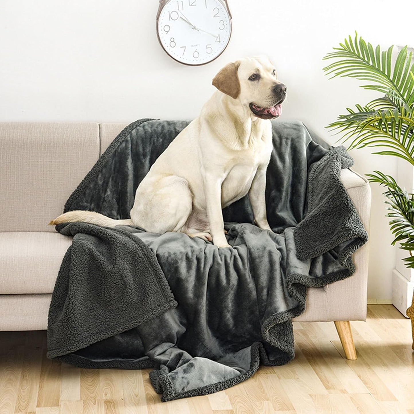 Loveblanket - Waterproof Blanket for Couples & Pets, Fleece Bed Protector (Grey, 28x40 in)