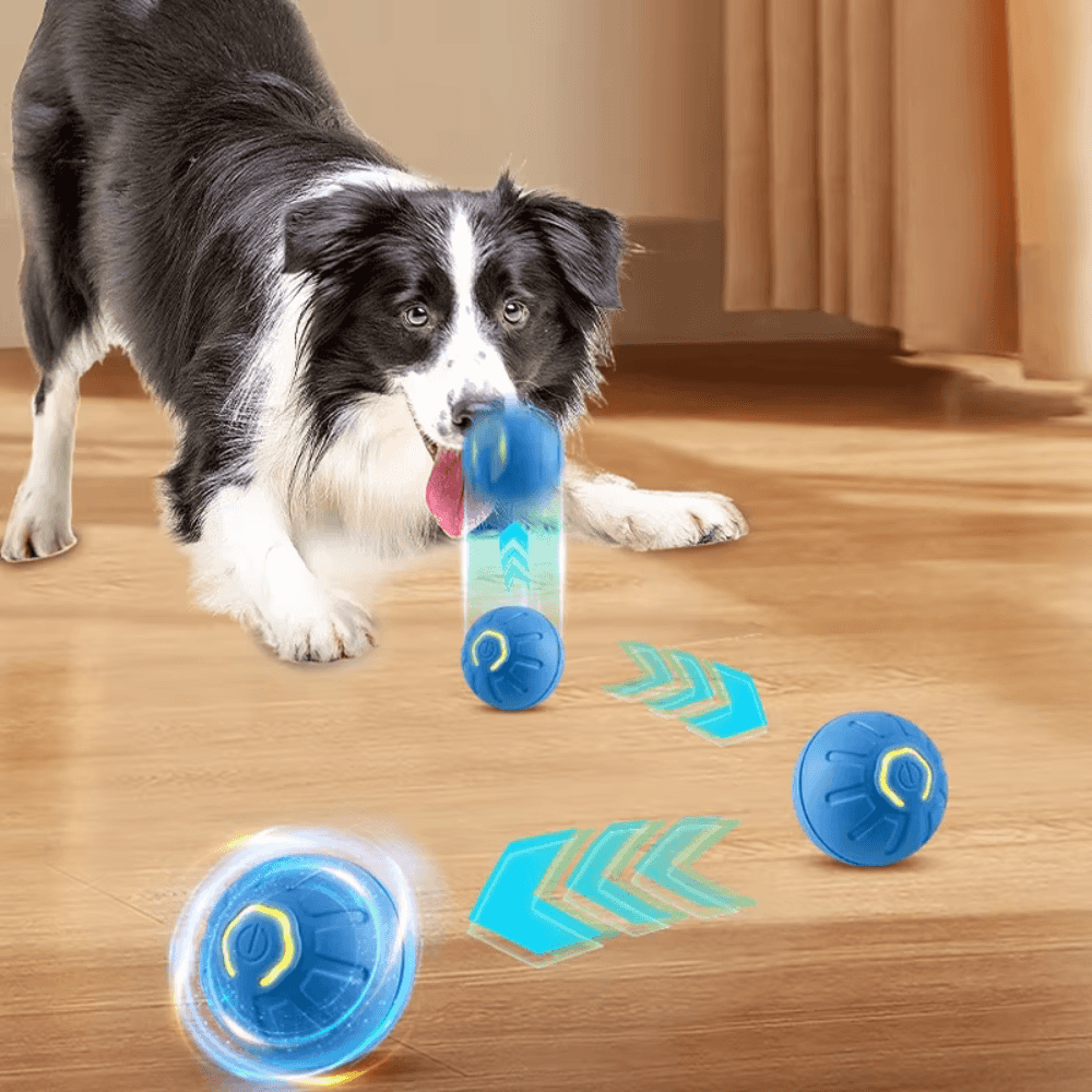 Pelota inteligente que rebota para mascotas