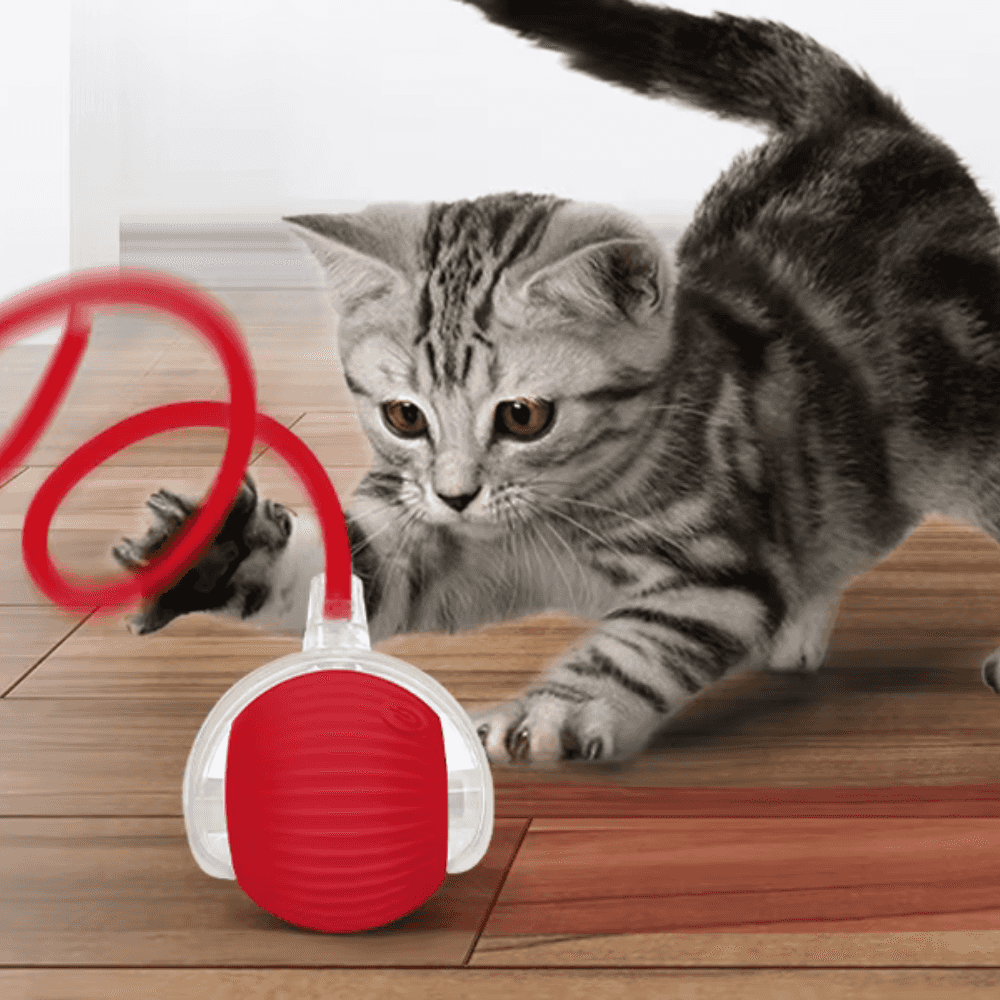 Pelota rodante inteligente para gatos