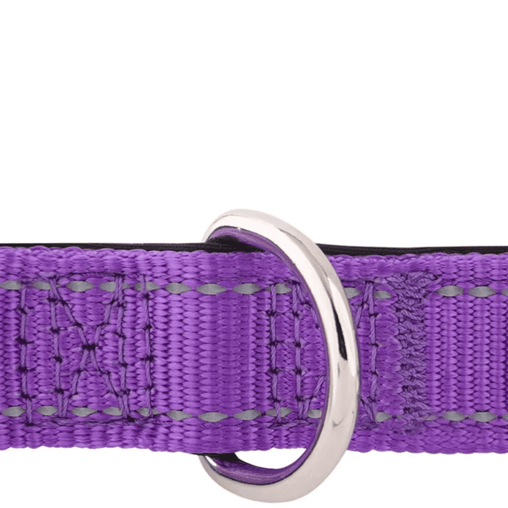 Reflektierendes gepolstertes Hundehalsband