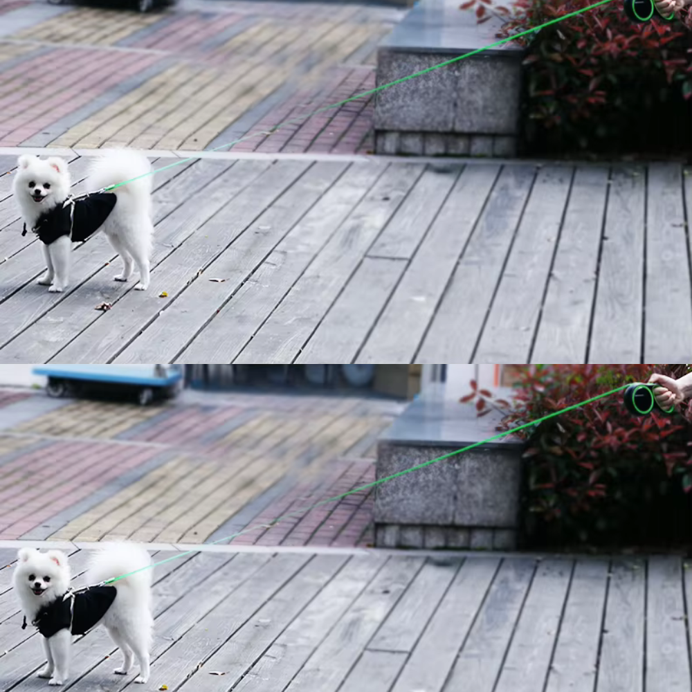 Automatic Retractable Dog Leash